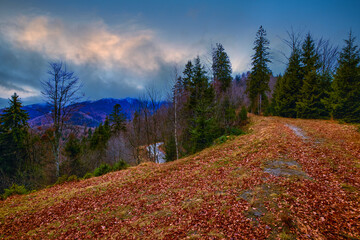 a landscape with autumn mountain road covered with leaves