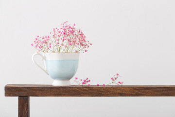 pink gypsophila in blue cup on  wooden shelf on  white background