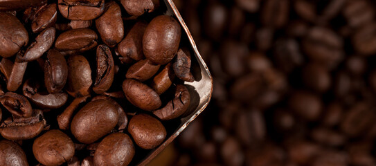 Fragment of a vessel filled with coffee beans against a background of scattered coffee beans, close-up, top view.