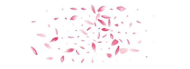 Pink Flower Petal Vector White Background. Pastel