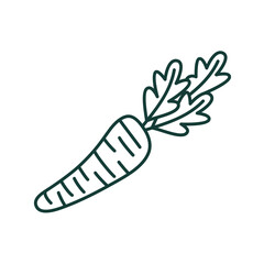 carrot line style icon