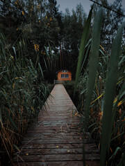 Small house on the lake and a wooden bridge through the reeds