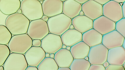 beautiful and bright microphones in a green shade