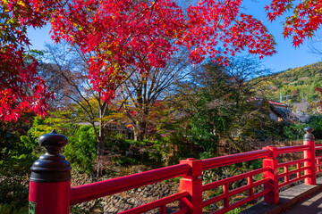 静岡県伊豆市修善寺　修善寺温泉街の紅葉