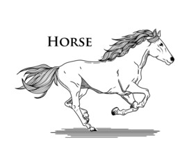 vector Hand-drawn horse black running white background