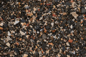 Sea or river multicolored pebbles and seashellson the beach. Natural texture of beach pebbles. Weathering and erosion of rocks. 
