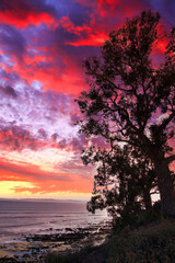 Naklejka na ściany i meble Views of Santa Barbara from the Mesa at sunset