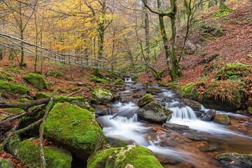 Autumn colors flow. Ulzama River
