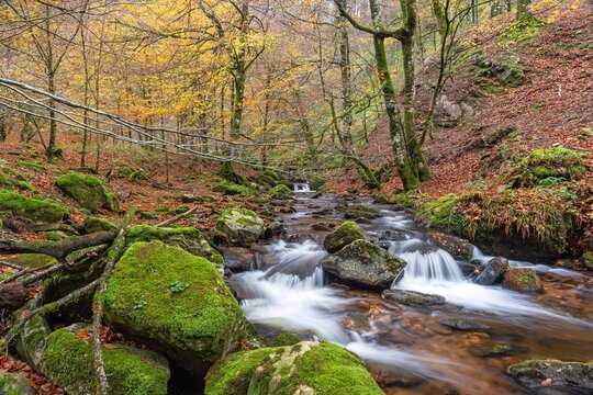 Autumn colors flow. Ulzama River