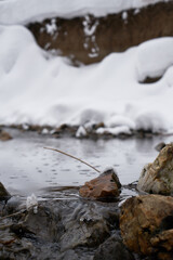 A small rock in the flowing river in a park. Snowy river shores. Closeup of a rock with a tiny branch sitting in the river. Open riverbed in a winter scene. in the river in a park