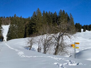 Hiking markings and orientation signs with signposts for navigating in the idyllic winter ambience of the Alpstein massif in the Swiss Alps - Schw&auml;galp mountain pass, Switzerland (Schweiz)