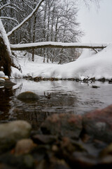 Low vintage point shot of a flowing river with visible riverbed in winter. Rocky riverbed with snow covered shores and a tree fallen over the river like a bridge. Winter forest in the background.