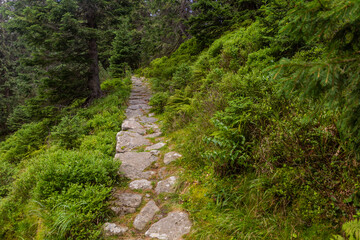 Fototapeta na wymiar Hiking trail in Nizke Tatry mountains, Slovakia