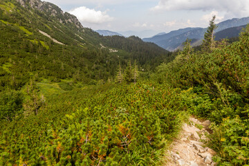 Landscape of Siroka dolina valley in Nizke Tatry mountains, Slovakia © Matyas Rehak