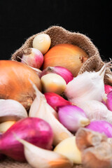 Indonesian Shallot Garlic and Onion Portrait