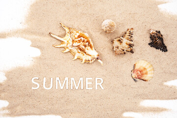 Summer mood creative arrangement. Beautiful seashells, summer - word on white sands. 
