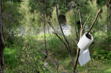 A roll of toilet paper hangs on a tree branch