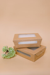 Disposable cardboard food boxes near green plant Ecological concept on background