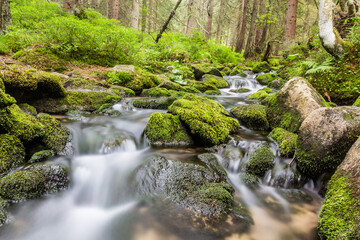 Small stream in Nizke Tatry mountains, Slovakia