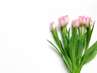 Bouquet of pink tulips on white background. Copy space.