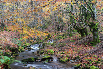 Colorful and windy autumn. Ulzama River