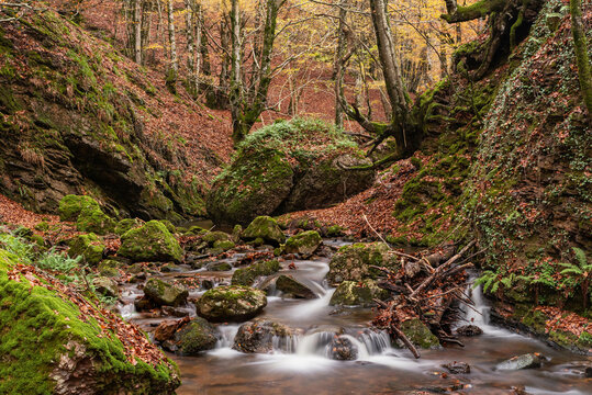 Autumn does not stop. Ulzama River
