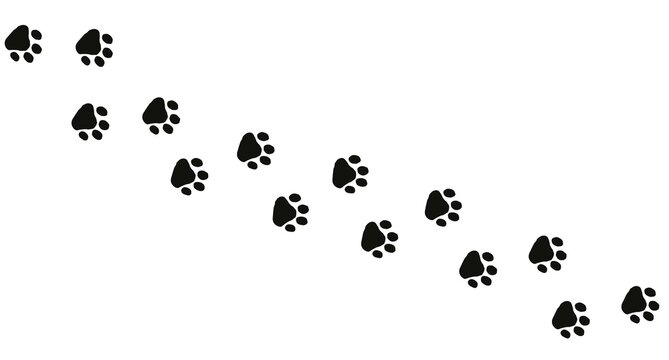 Cat or dog steps footprint in black color. Pet paw trace