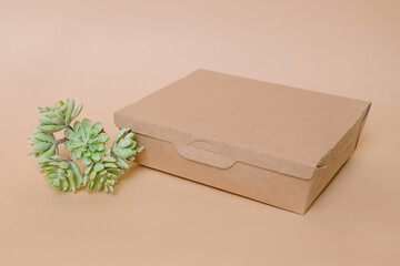 Disposable cardboard food boxes near green plant Ecological concept on background