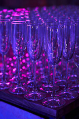 lot of empty transparent champagne glasses in neon light
