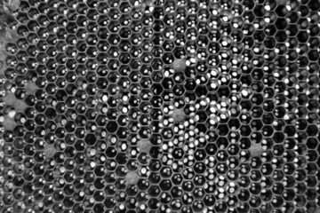 Drop of bee honey drip from hexagonal honeycombs