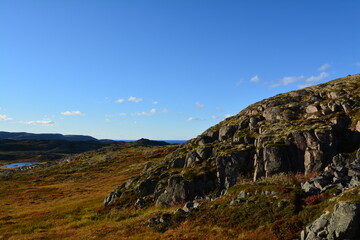 Fototapeta na wymiar rocky plain in the autumn tundra