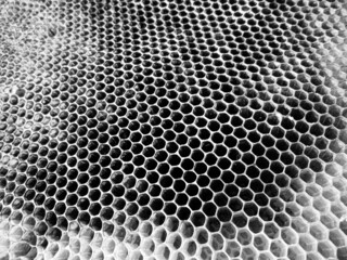 Abstract hexagon structure is honeycomb from bee hive