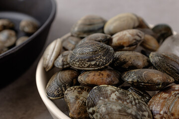 Small fragrant short neck clam