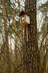 Wooden birdhouse is nailed to tree in autumn forest. House for birds