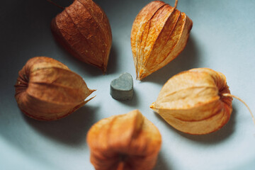 Composition of heart shaped stone and dried flowers around with selective focus.