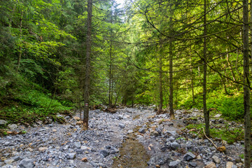 Huciaky valley in Nizke Tatry mountains, Slovakia