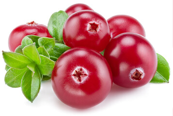 Ripe red cranberries with green leaves on white background. Close-up.