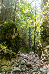 Huciaky gorge in Nizke Tatry mountains, Slovakia
