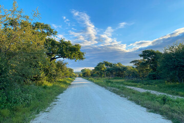 Dirt road through the African bush with a blue sky and clouds, South Africa. 
