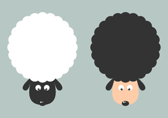 Cute white sheep and black sheep cartoon character flat vector design.