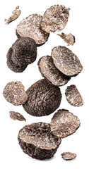 Slices and chops of black winter truffle levitating on white background. The most famous of the trufflez. - obrazy, fototapety, plakaty