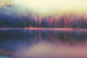 Fir trees around the lake in the autumn misty morning. Lake Synevyr in the Carpathian Mountains,...