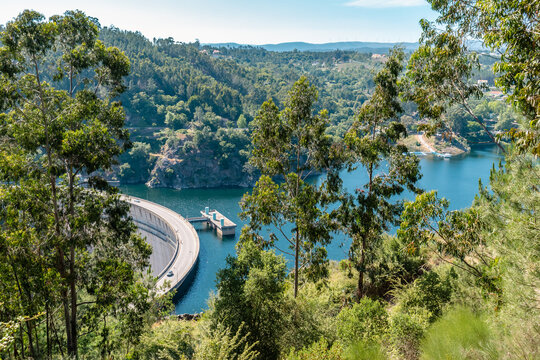 Eucalyptus trees in the hill and wild vegetation with aerial view to Cabril dam and Z&ecirc;zere river, Pedrog&atilde;o Pequeno - Sert&atilde; PORTUGAL