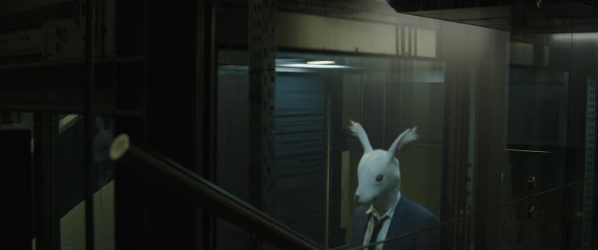 Man with a rabbit head in an elevator