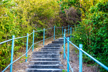 panoramic background of high mountain scenery, overlooking the atmosphere of the sea, trees and wind blowing in a cool blur, spontaneous beauty