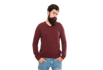 bearded man. mature man with beard. hair and beard care. hipster isolated on white.