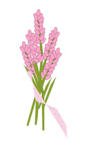 Obraz premium pink lavender