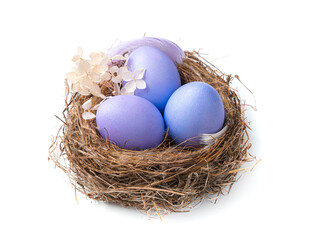 Nest with purple Easter eggs isolated on a white background.