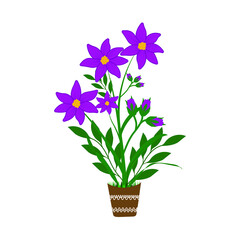 lily flowers in the vase floral vector in illustration