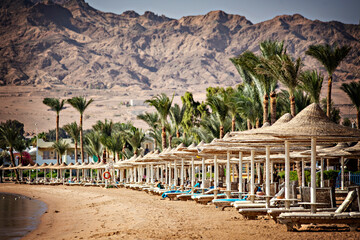 Beautiful beach with sun umbrellas in Dahab, Lagoona, Egypt